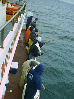 New Jersey Fishing Reports