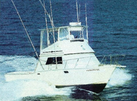 Capt. Brian Rice
