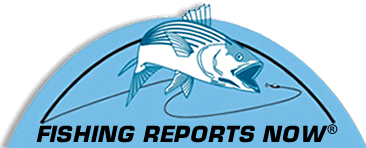 Fishing Reports Now